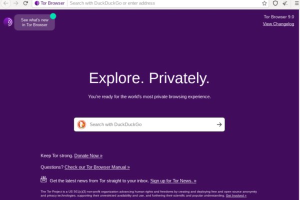 Как зайти на гидру через тор браузер