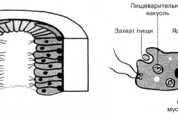 Ссылки на кракен зеркала